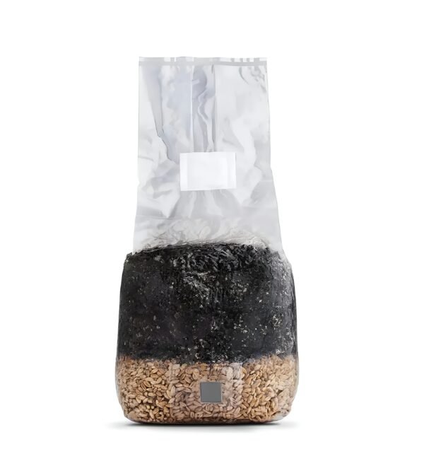 Black Magic Substrate, Premium All-In-One Mushroom Grow Kit (Sterilized)