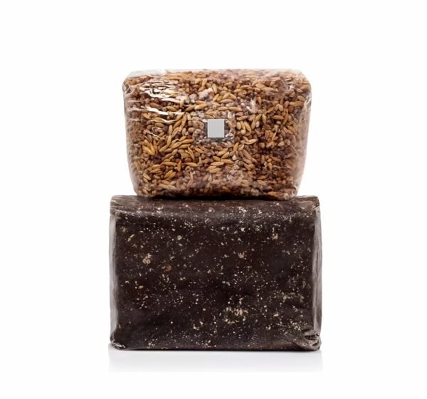 Monotub Refill Kit, Black Magic Substrate & Whole Oats (Sterilized)