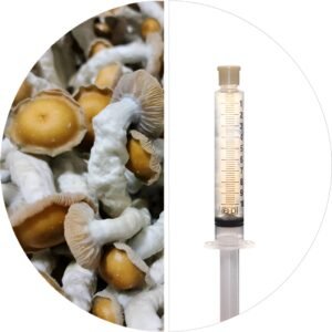 💉DEEP EAST TEXAS - ISOLATED SPORE RESEARCH SYRINGE 12CCS
