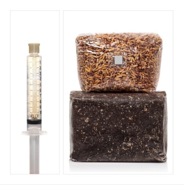 Monotub Refill Complete Kit, Liquid Culture + Black Magic Substrate & Whole Oats (Sterilized)