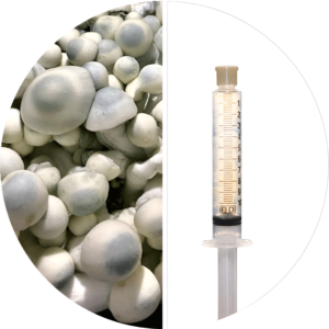 💉PEARLY GATES - ISOLATED SPORE RESEARCH SYRINGE 12CCS