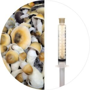 💉PENIS ENVY (PE3B) - ISOLATED SPORE RESEARCH SYRINGE 12CCS