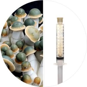💉PENIS ENVY UNCUT - ISOLATED SPORE RESEARCH SYRINGE 12CCS