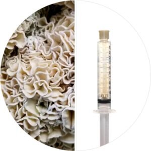 💉ENIGMA TW2 - ISOLATED SPORE RESEARCH SYRINGE 12CCS