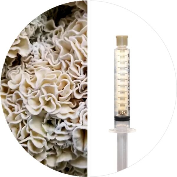 💉ENIGMA TW2 - ISOLATED SPORE RESEARCH SYRINGE 12CCS